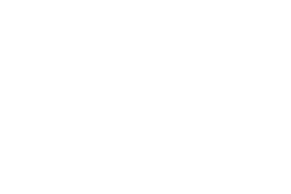 LBAF_AIFM